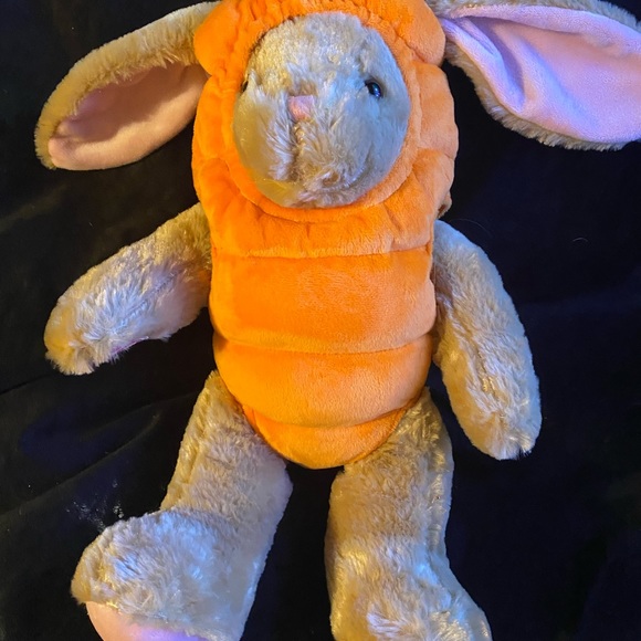 Build a Bear Bunny with carrot outfit in great condition. - Picture 5 of 5